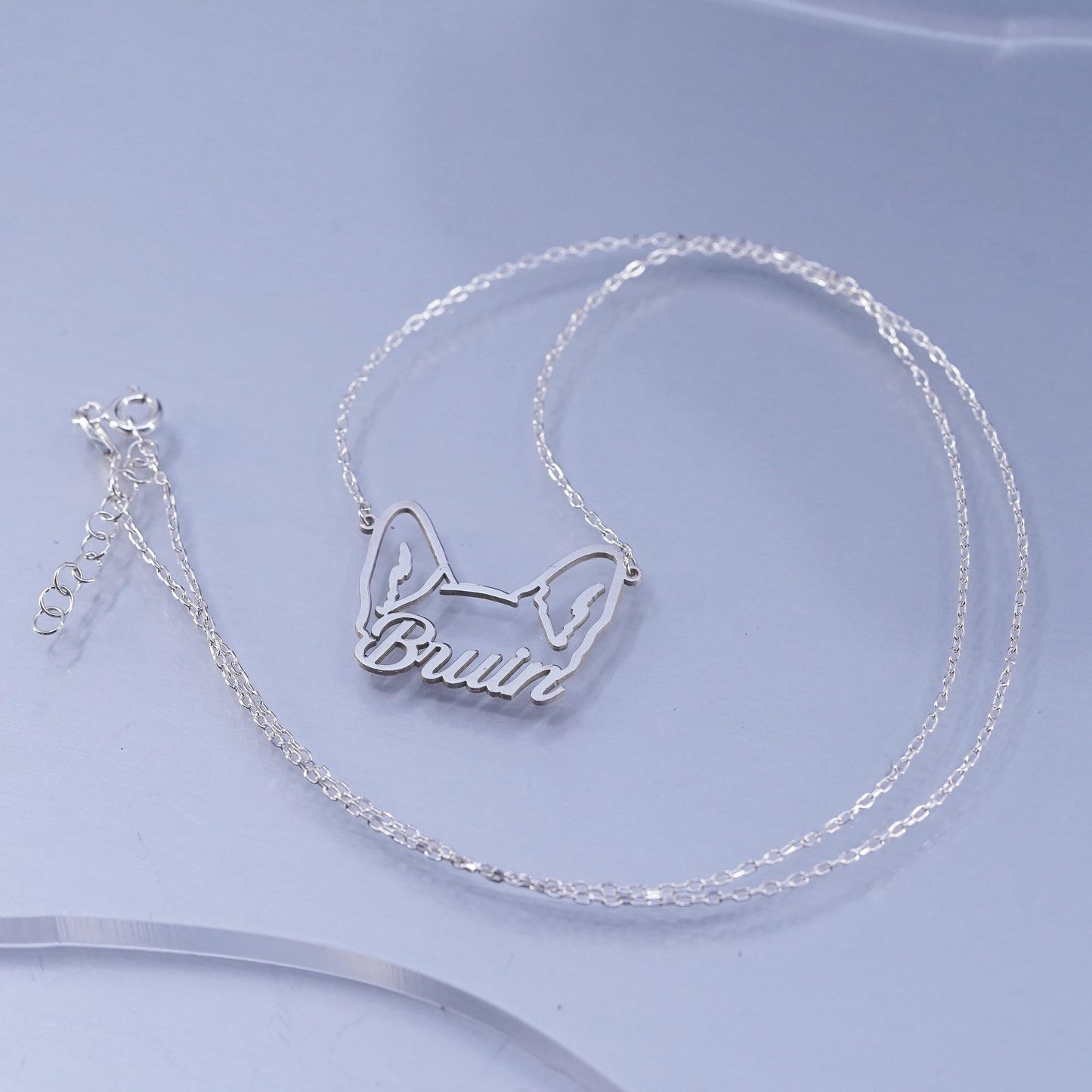 18+1”, Sterling 925 silver circle chain necklace name monogram “Bruin” pendant