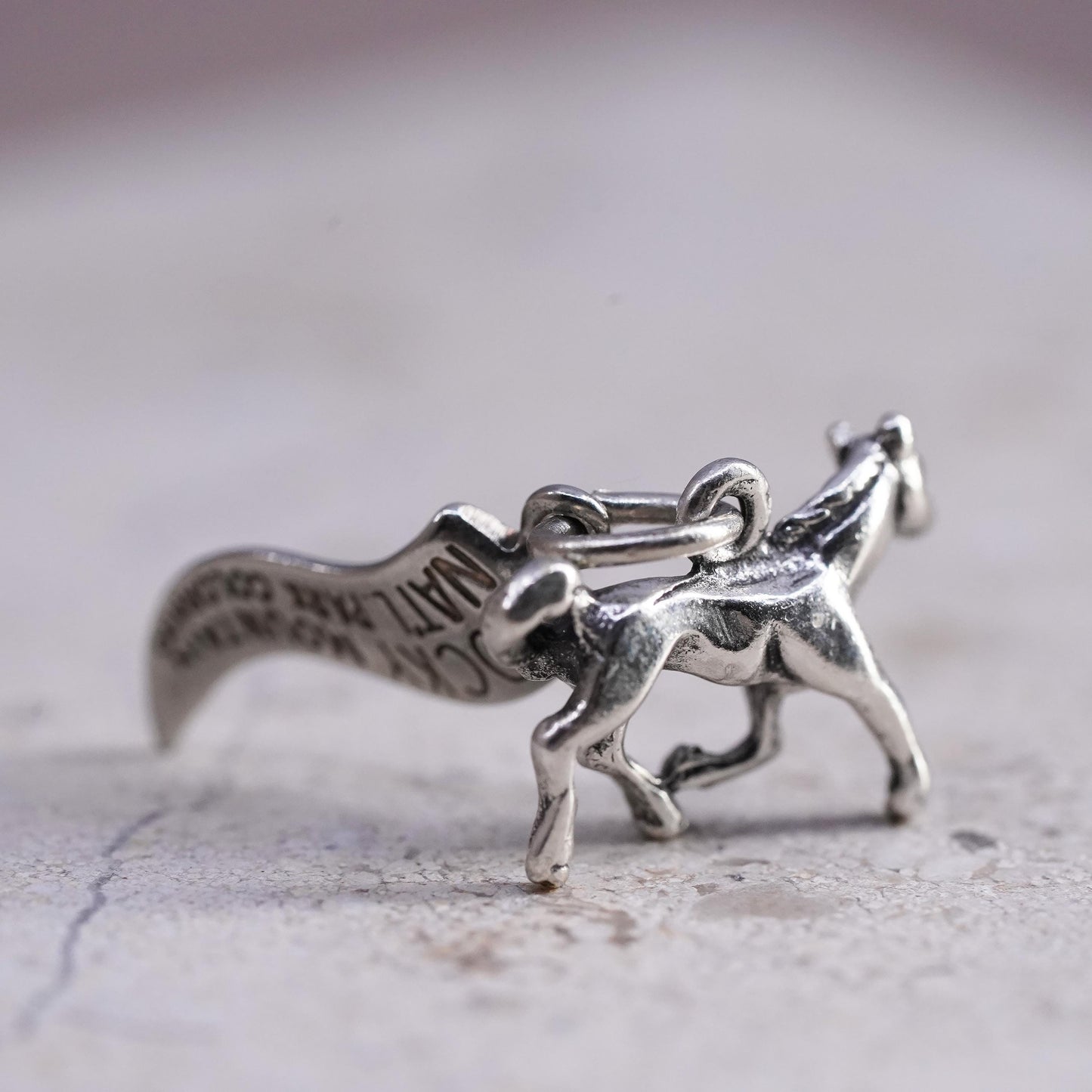 sterling silver pendant, 925 horse charm with Rocky Mountain national park tag